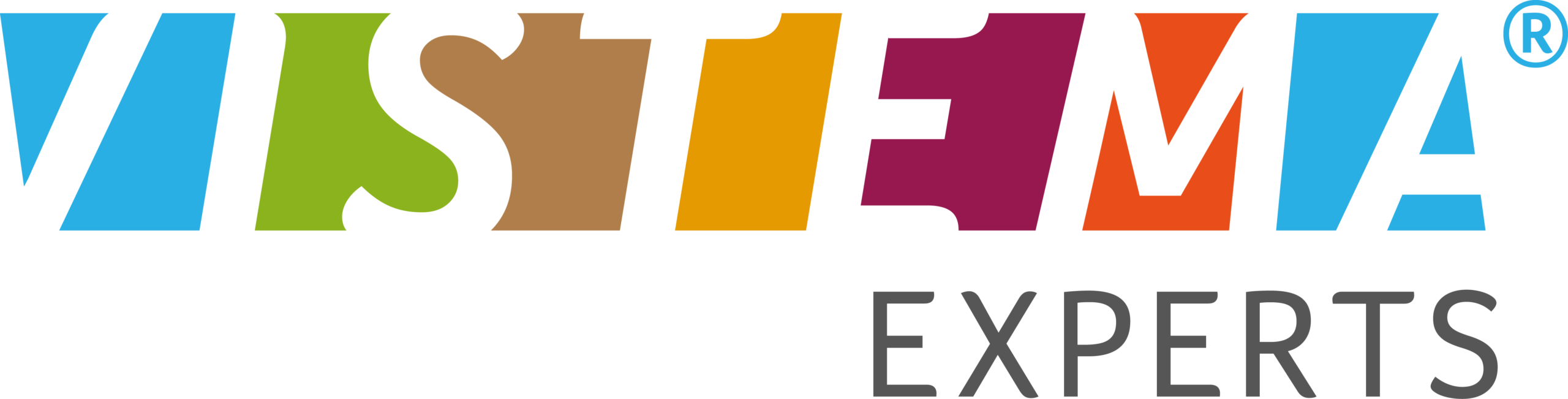 Vistema Experts Logo